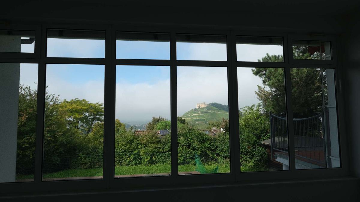 Ausblick