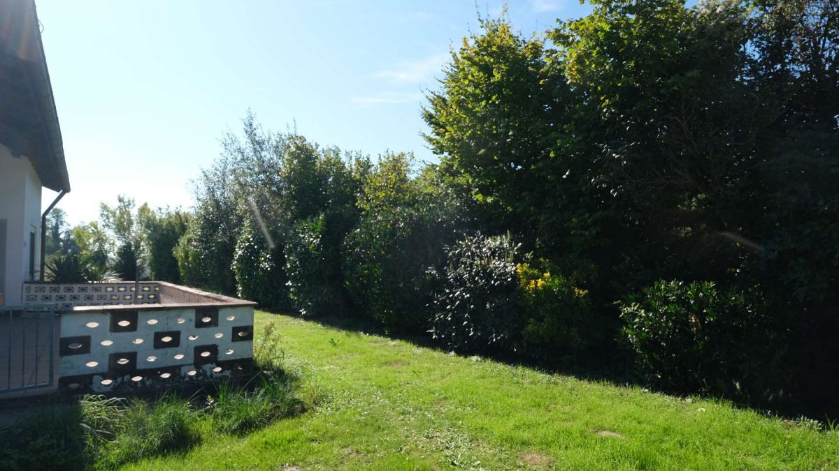 Terrasse Erdgeschoss